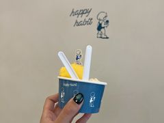-海比甜店·意式手工冰激淋happy habit gelato