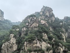 -大岭沟猕猴桃谷风景区