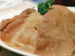 -海底捞火锅(吾悦广场店)