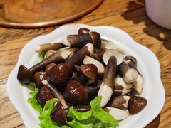 黑皮鸡枞菌-十六蒲(桂林路店)