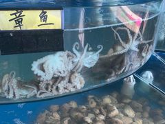 -蓝珊甄选海鲜自助·火锅大排档(近阿那亚店)