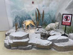 -西霞口神雕山野生动物世界