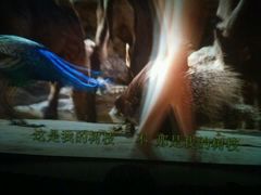 -万达影城(潍坊万达广场IMAX店)