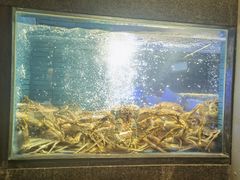 -徐记海鲜(曲江南湖店)