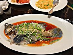 老虎斑-北京四季酒店·采逸轩