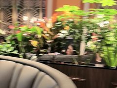 -半秋山西餐厅(巴南万达广场店)