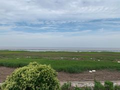 -南汇嘴观海公园