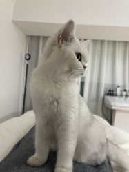 点击看大图 -兮奈ネイル美甲美睫·皮肤管理