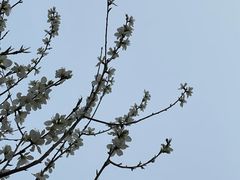 -南开大学(津南校区)