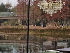 -白鹭湾湿地公园