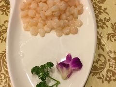 -中国饭店-餐厅
