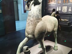 -广西壮族自治区博物馆