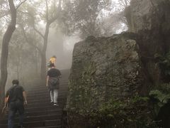 -紫金山索道-售票处