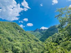 -老君山风景名胜区