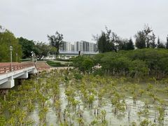 -宝安西湾红树林湿地公园