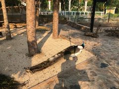 -金汤湾海水温泉度假酒店