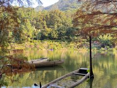 -深圳仙湖植物园