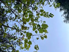-白塘生态植物园
