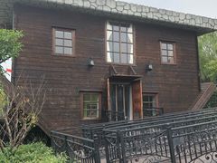 -金山农民画村-枫泾波兰倒置屋