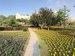-吉林大学(前卫南区)