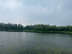 -北坞公园
