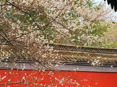-钱王祠