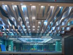 -Swim斯卫姆国际儿童游泳中心(红博中央公园店)