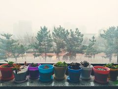 -山东大学(威海校区)