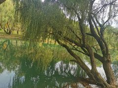 -贵阳市花溪国家城市湿地公园
