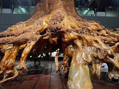 -常德桃花源景区