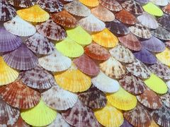 -摩登百货(岗顶店)