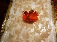 -顺德了能馆(虎门店)