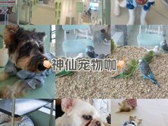-怪兽屋·羊驼·猫咖·狗咖(俊华广场店)