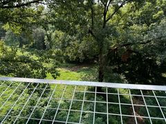 -合肥野生动物园