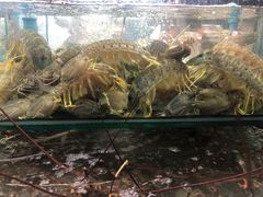 -班赞海鲜市场