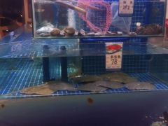 -同喜烤鸭店(光芒店)