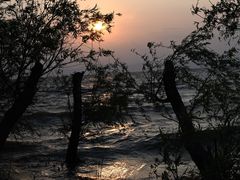 -捞渔河湿地公园