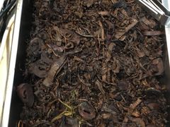 -阿育王寺素斋馆