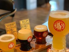 -Boxing Cat Brewery拳击猫精酿啤酒馆(永福店)