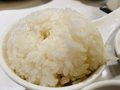 米饭-煲煲好(朝阳门店)