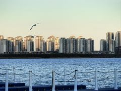 -天津东丽湖风景区