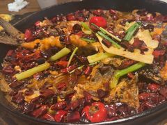 -老板恋上鱼(印象城店)