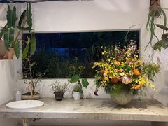 -自由生长植物工作室(深港花卉中心店)