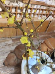 -今日陶艺(富力广场店)