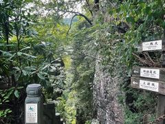 -东天目山风景区