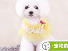 -纳吉亚猫专科动物医院·北北分院