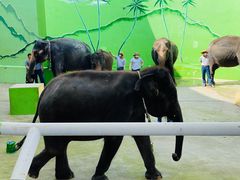 -大连森林动物园