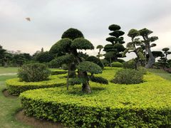 -南宁南湖公园