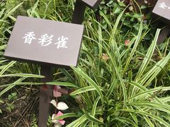 -眉山湿地公园(东坡区)