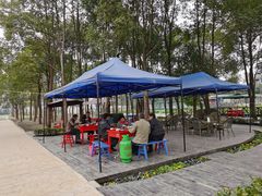 -洪湖家庭农场·团建·露营·会议